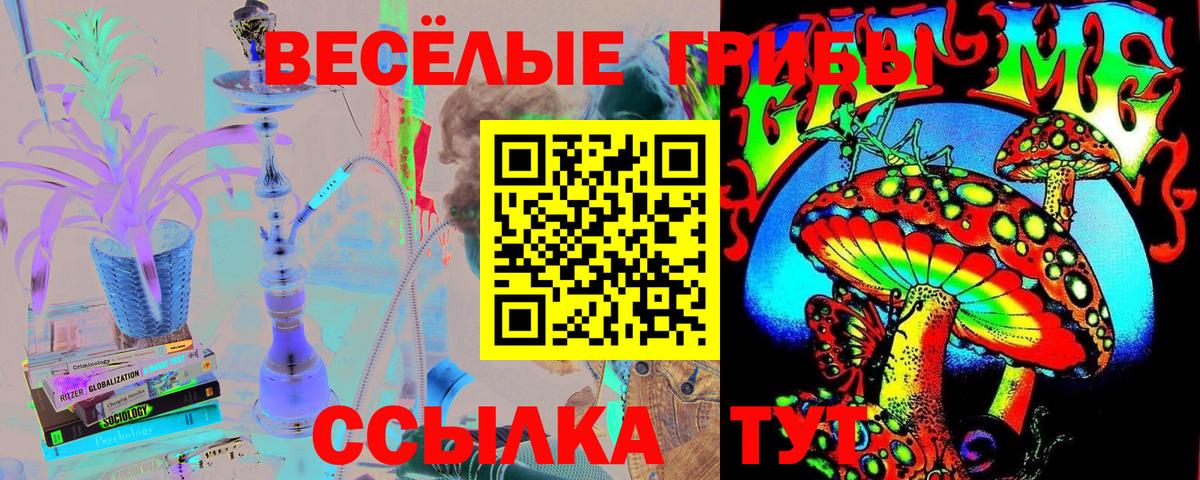 Псилоцибиновые грибы ЛСД Павловский Посад