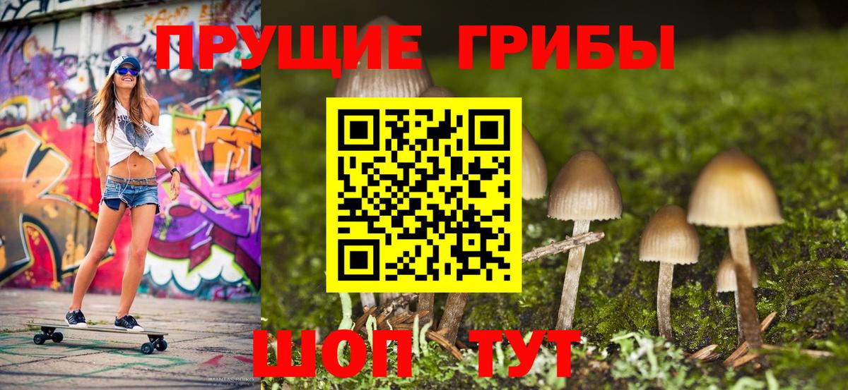 Павловский Посад  Псилоцибиновые грибы мицелий  Псилоцибиновые грибы Psilocybine cubensis  Вход с VPN 